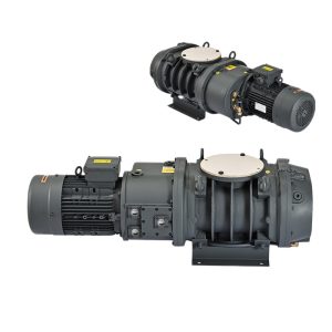 Roots vacuum pumps for industrial gas extraction