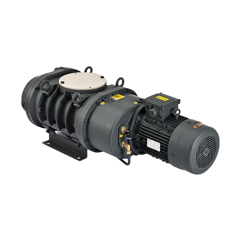 Roots vacuum pumps for industrial gas extraction