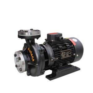 Stainless steel centrifugal pumps are resistant to high temperatures.