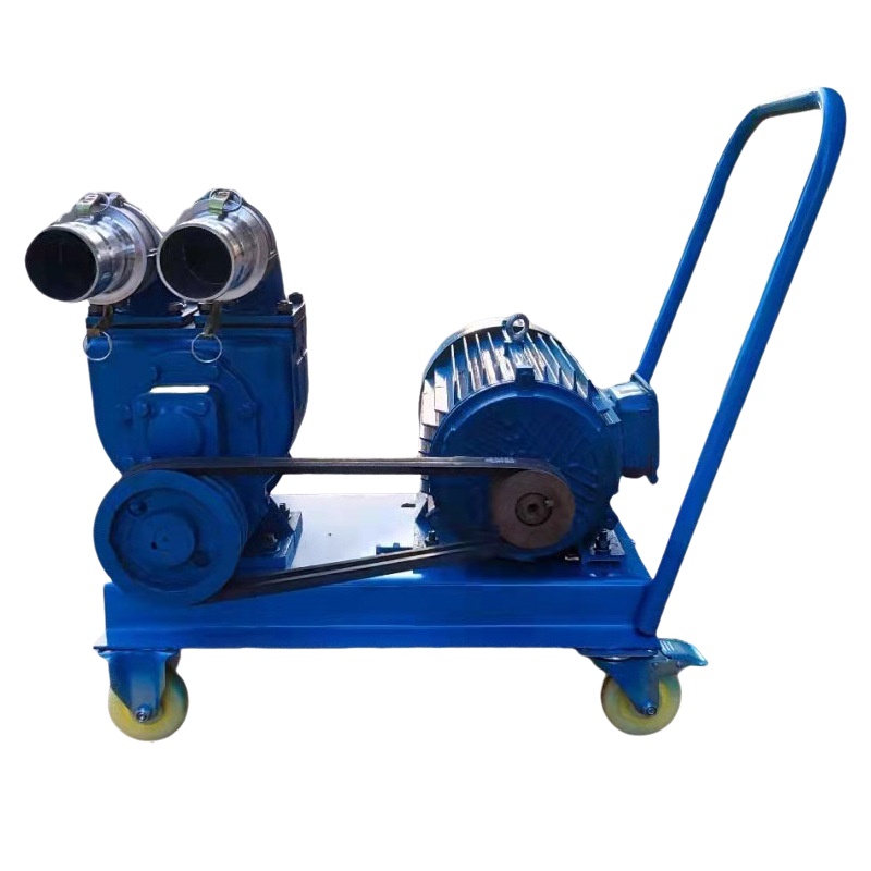 powerful manure pump for the  farmpig manure cow dung sewage