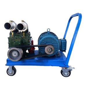powerful manure pump for the  farmpig manure cow dung sewage
