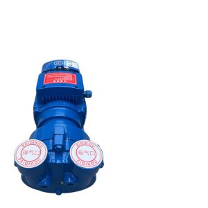 water ring vacuum pump